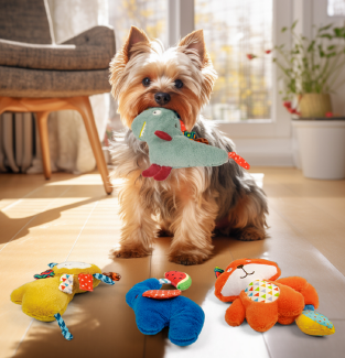 PetToys