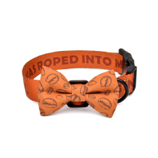 Traction rope