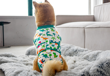 Dog surgical gown