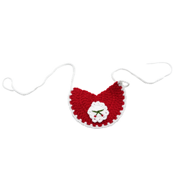 Pet bib