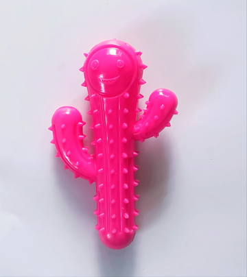 Desert cactus