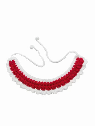 Pet bib
