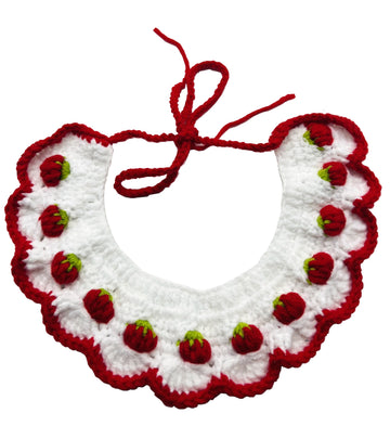 Pet bib