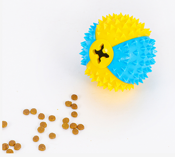 Cleaning teeth, missing meals, playing with cats, ball game