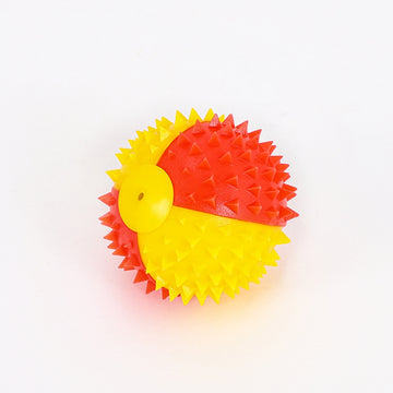 Cleaning teeth, making a sound to tease the cat, playing ball with it