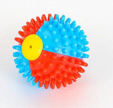 Cleaning teeth, making a sound to tease the cat, playing ball with it