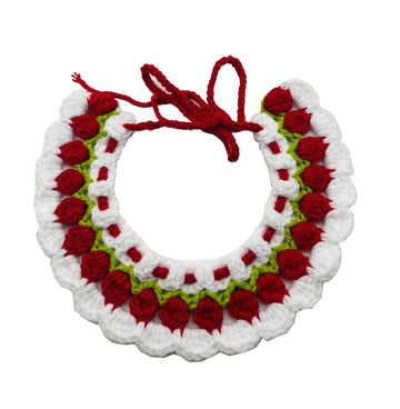 Pet bib