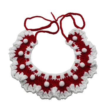 Pet bib