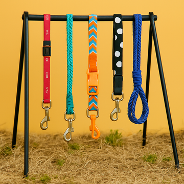 Stylish & Strong Leashes