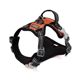 Traction rope
