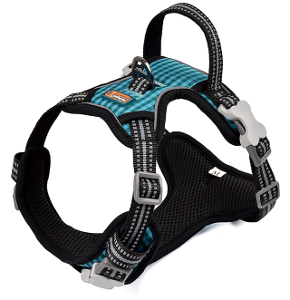Traction rope