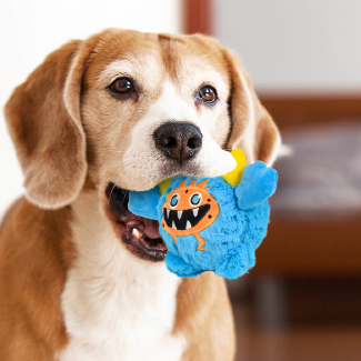 PetToys