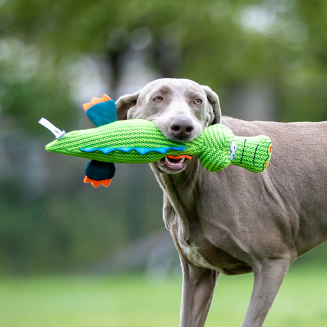 PetToys