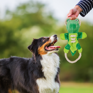 PetToys