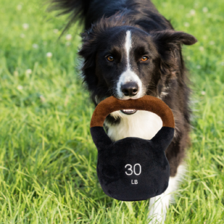 PetToys