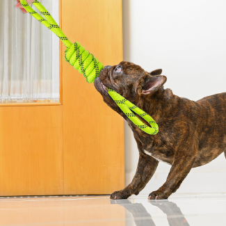 PetToys
