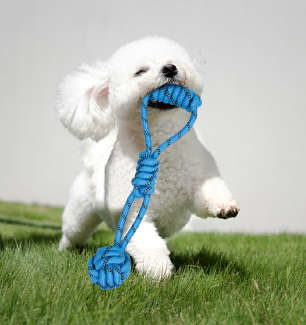 PetToys