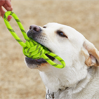 PetToys