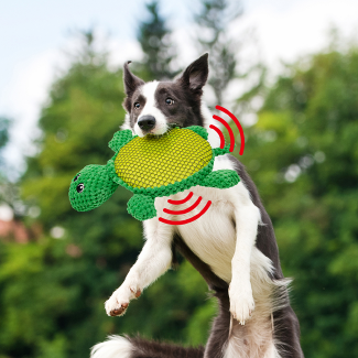 PetToys