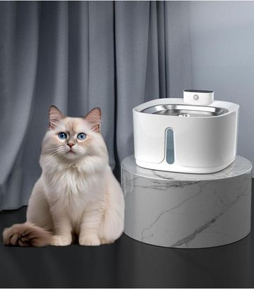 Smart water feeder