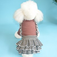Lace Suspender Skirt