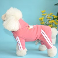 A Sweatshirt