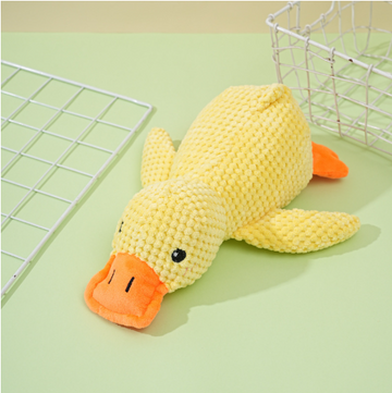 Companion duck