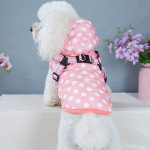 Polka dot chest and back
