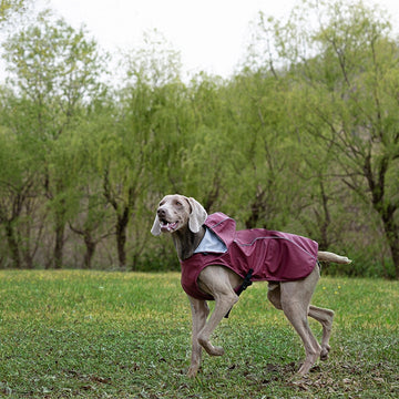 PU raincoat