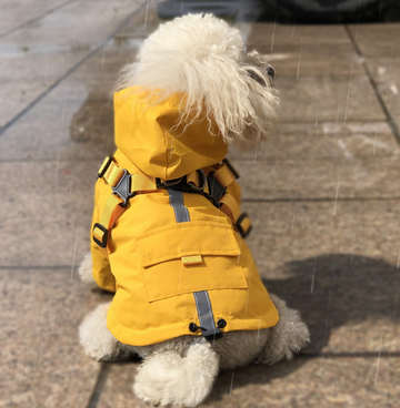 Three-color chest-back raincoat
