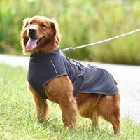 Big Dog Vest