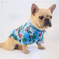 Stupid beach clothes