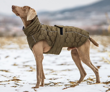 Quilted cotton coat