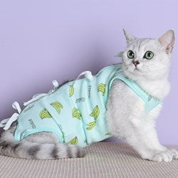 Cat surgical gown