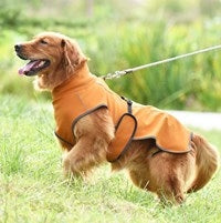 Big Dog Vest