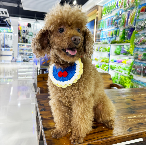 Pet bib