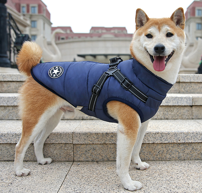 Solid color chest vest