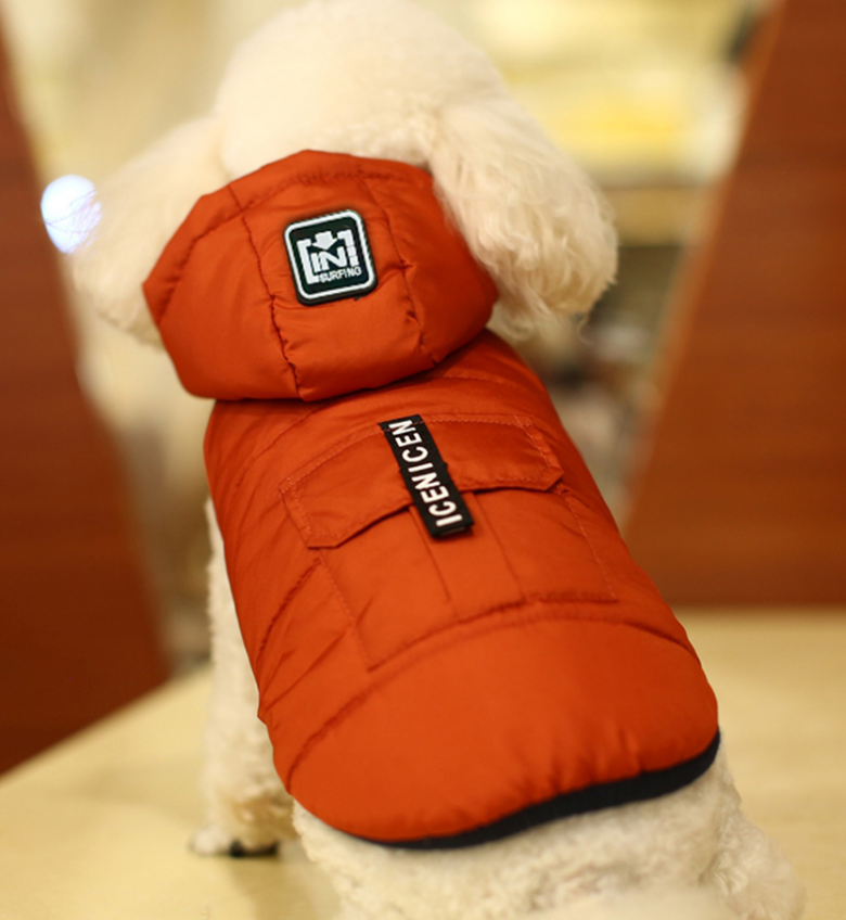Hood removable vest