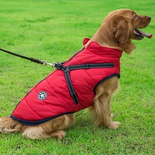 Solid color chest vest
