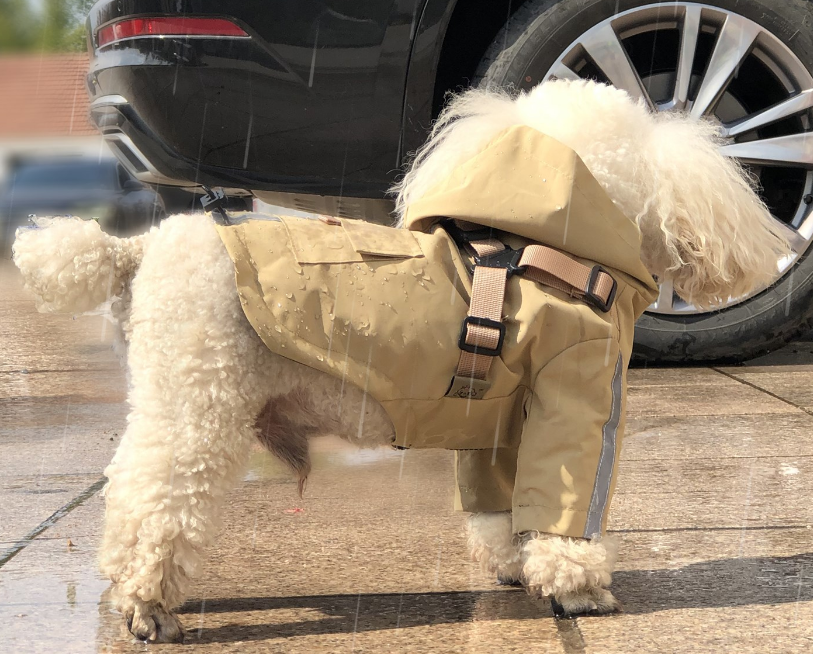 Three-color chest-back raincoat
