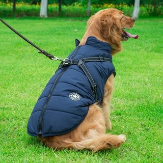 Solid color chest vest