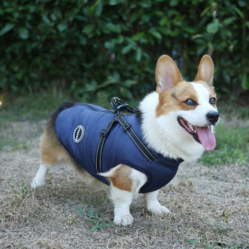 Upgraded solid color chest back vest