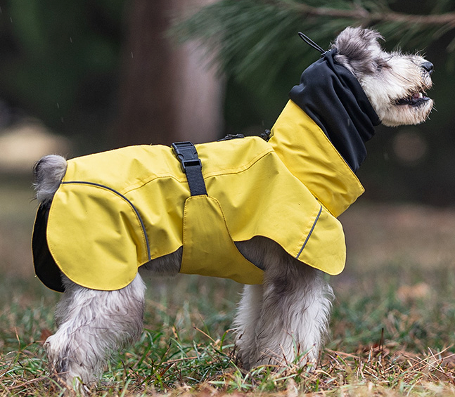 Double collar cape raincoat