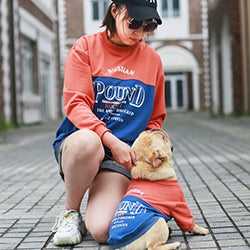 French bulldog parent-child outfit