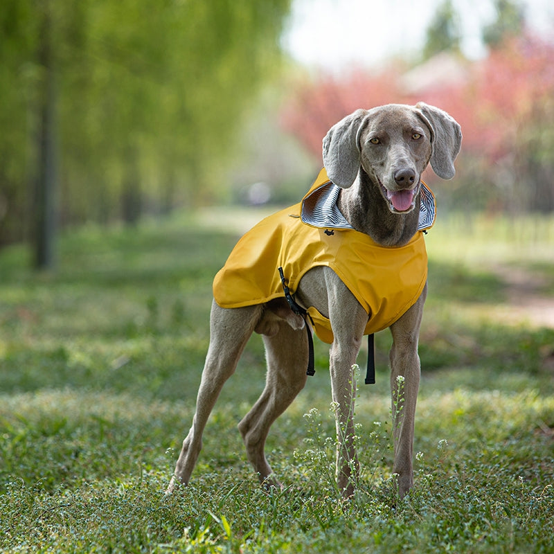 PU raincoat