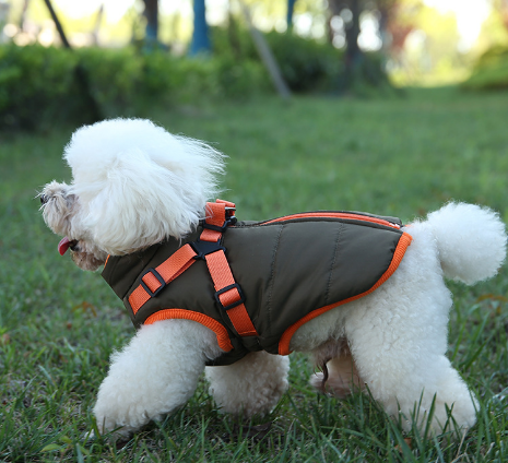 Olive green orange trim cotton coat