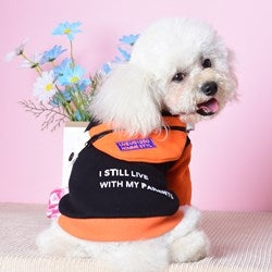 Slanted school bag sweatshirt