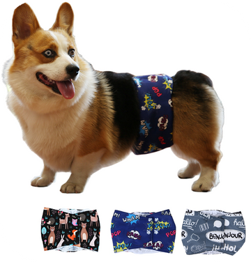 Male dog sanitary pants