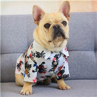 Stupid beach clothes