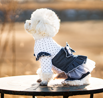 Polka dot jeans skirt